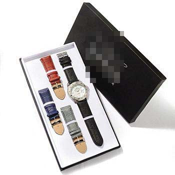 Custom Stainless Steel Men 560 Watch