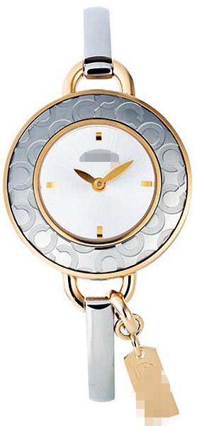 Watch Battery 14501242