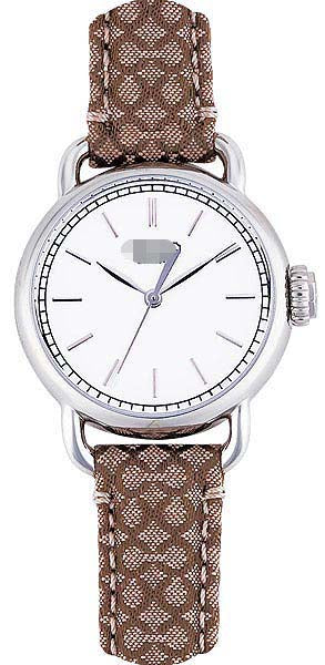 Watch Battery 14501262