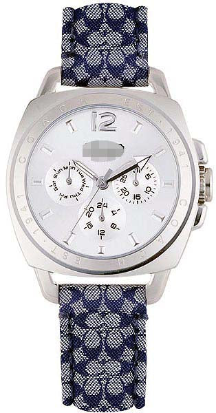 Watch Battery 14501277