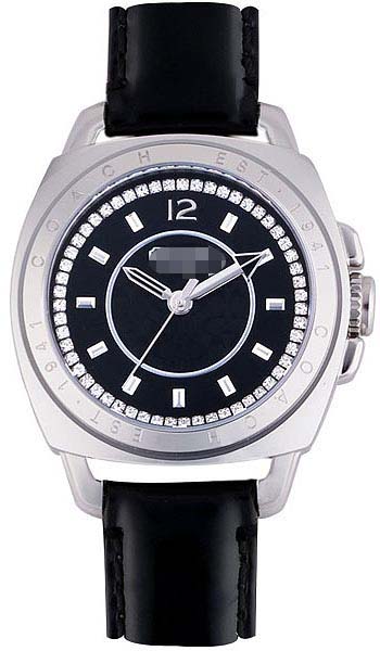 Custom Stainless Steel Men 14501289 Watch