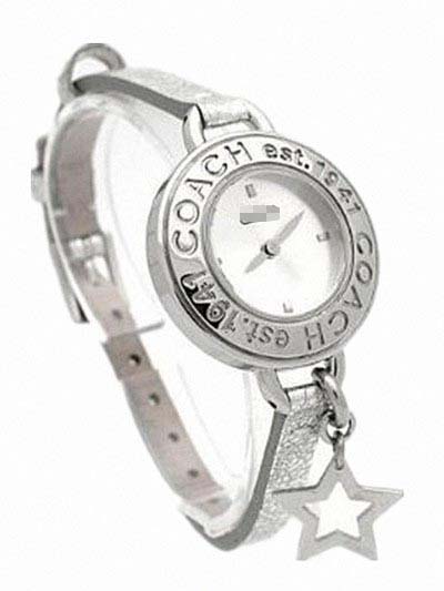 Watch Battery 14501325