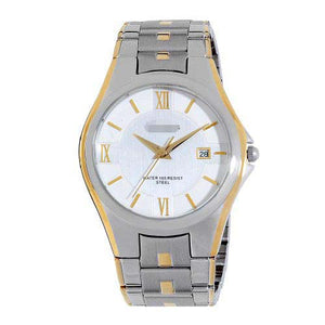 Custom Stainless Steel Men 20-4413SVTT Watch