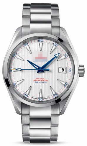 Custom Stainless Steel Men 231.10.42.21.02.002 Watch