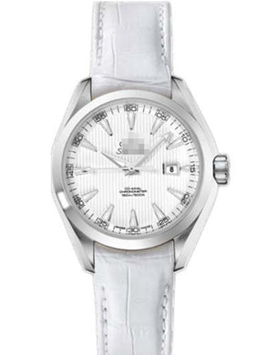 Wholesale Stainless Steel Men 231.13.34.20.04.001 Watch
