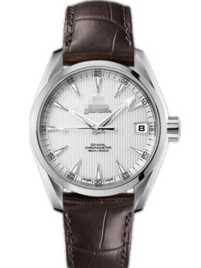 Wholesale Stainless Steel Men 231.13.39.21.02.001 Watch