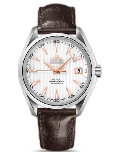 Wholesale Stainless Steel Men 231.13.42.21.02.002 Watch