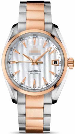 Wholesale Stainless Steel Men 231.20.39.21.55.001 Watch