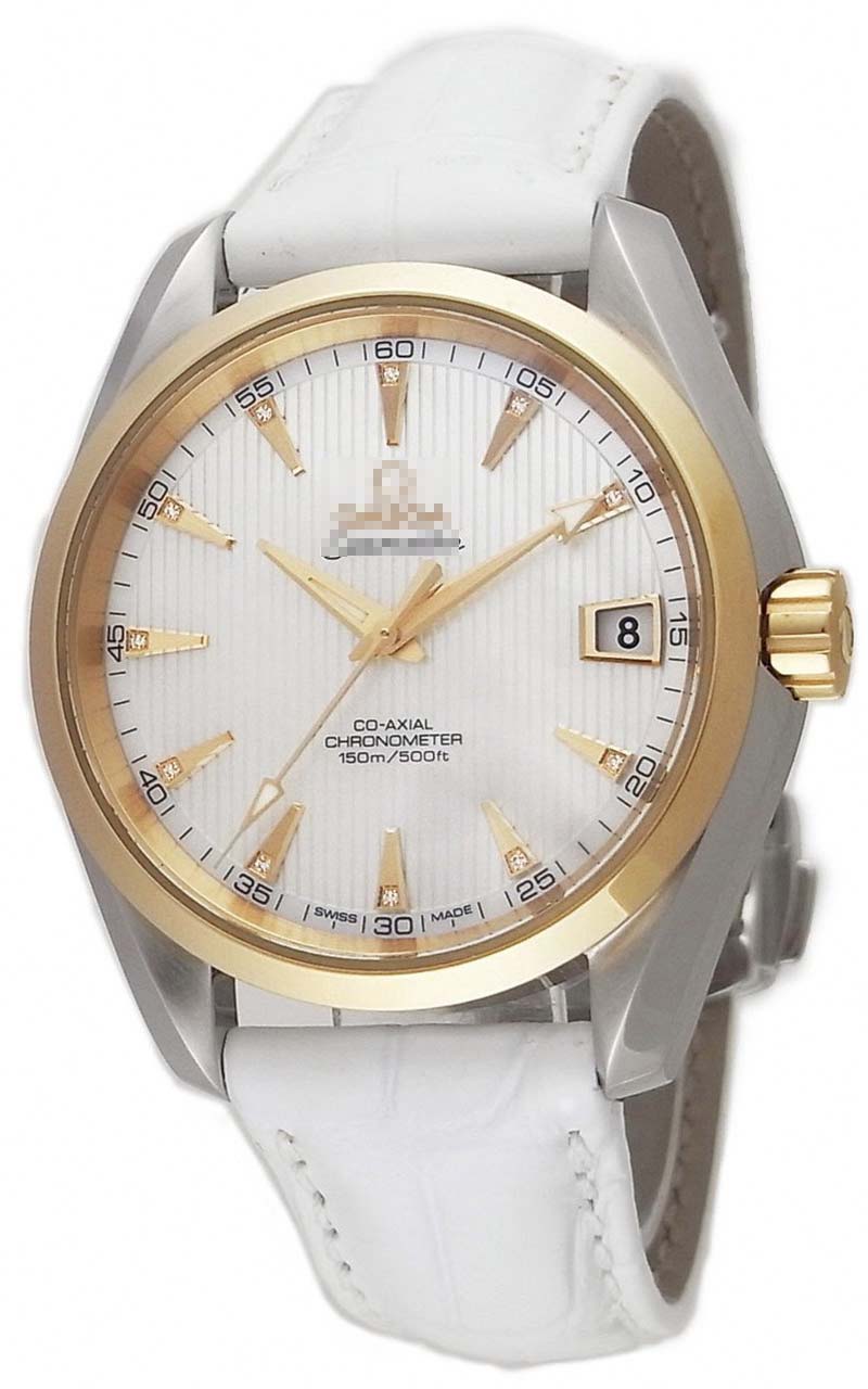 Wholesale Stainless Steel Women 231.23.39.21.55.002 Watch