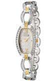 Watch Battery 45L101