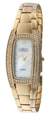 Switzerland Watch Company