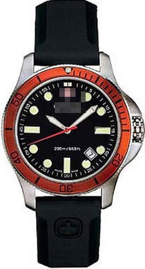Custom Stainless Steel Men 72343 Watch