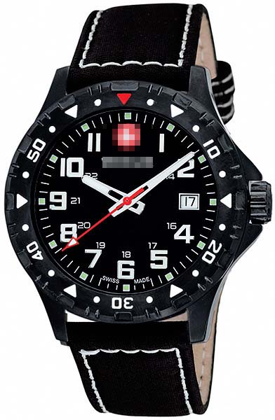 Custom Stainless Steel Men 79304W Watch