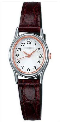 Watch Battery AIHK003_japan