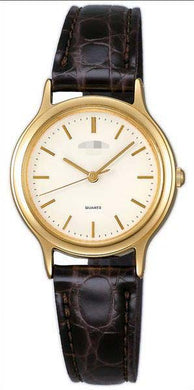 Watch Battery AIHN004_japan