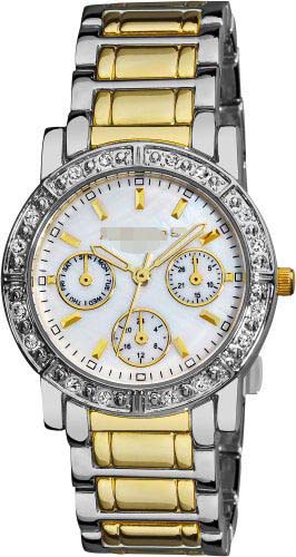 Wholesale Stainless Steel Women AK530TT Watch