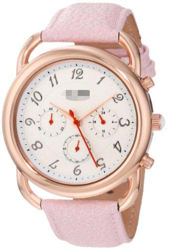 Wholesale Stainless Steel Women AL-80012-YG-02-PN Watch