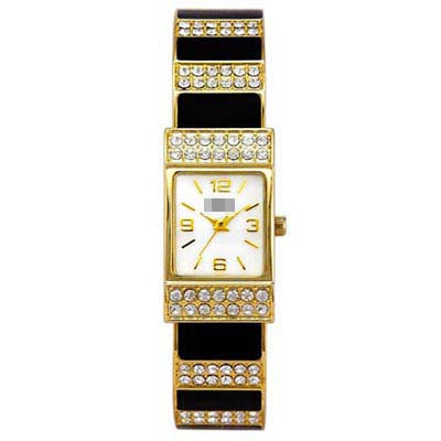 Custom Alloy Women BL749-BK Watch