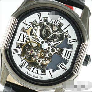 Custom Stainless Steel Men BS005-BWH Watch