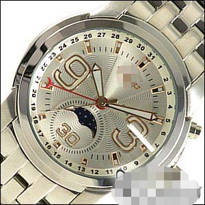 Custom Stainless Steel Men C41-WHG Watch