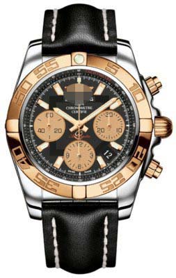 Wholesale Stainless Steel Men CB014012/BA53-LS Watch