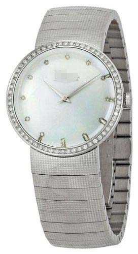 Custom Stainless Steel Women CD042111M002 Watch