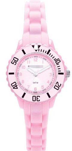 Wholesale Plastic CK226-14 Watch