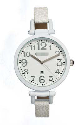 Wholesale Stainless Steel Women CR0604 Watch