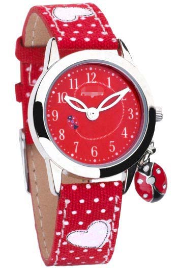 Wholesale Stainless Steel Women CS1010 Watch
