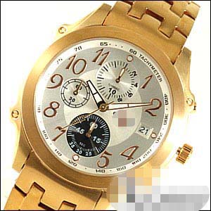Custom Stainless Steel Men DC103-RG Watch