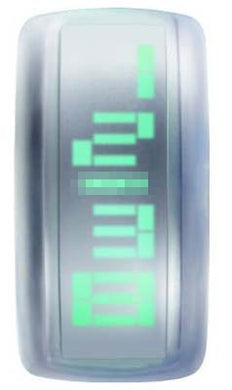 Custom DD101A-2 Watch