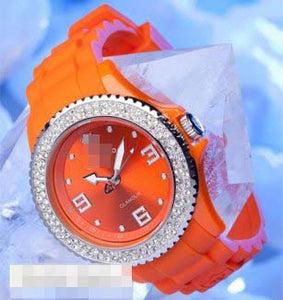 Wholesale Plastic Women DT3008-E Watch