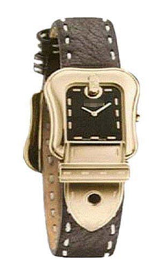 Watch Battery F384211