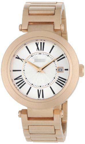 Watch Battery HA1234RG-9A