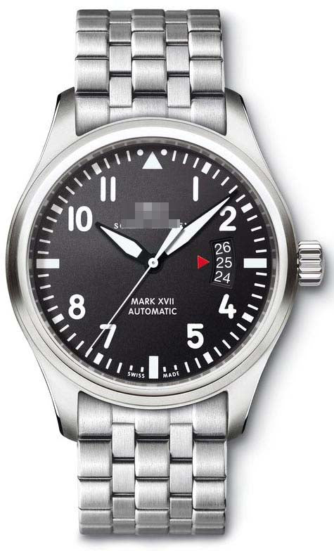 Wholesale Stainless Steel Men IW326504 Watch
