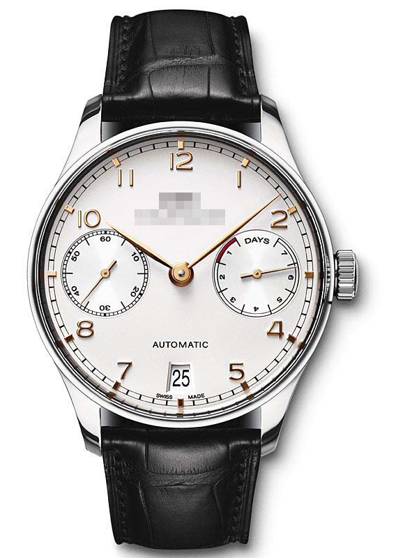 Wholesale Stainless Steel Men IW500114 Watch