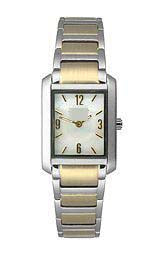 Transparent Watch Factory