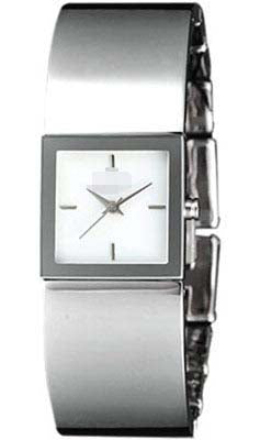 Wholesale Stainless Steel Women NY4824 Watch