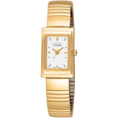 Watch Battery PPH516