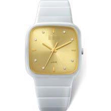 Custom Ceramic Women R28900702 Watch