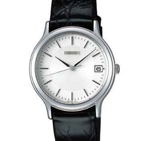 Custom Men SBTC011 Watch