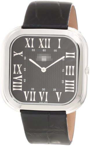 Wholesale Stainless Steel Men SK21208G Watch