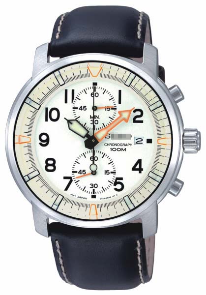 Wholesale Stainless Steel Men SNN227P1 Watch