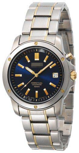 Wholesale Stainless Steel Men SNQ010 Watch