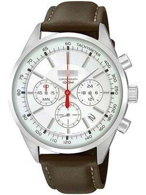 Custom Stainless Steel Men SSB035P2 Watch