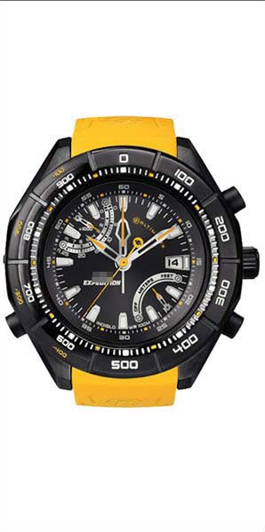 Watch Battery T49796