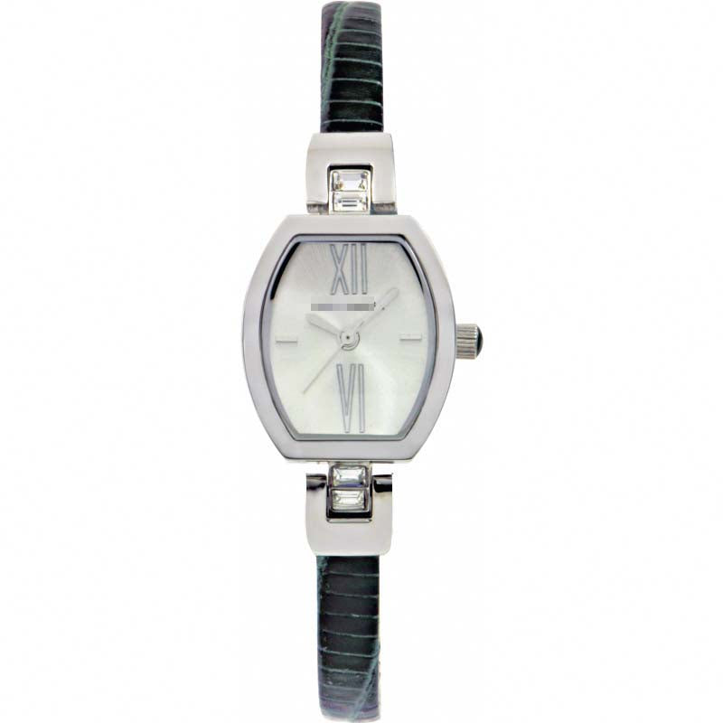 Wholesale Stainless Steel Women TE2056 Watch