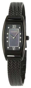 Watch Battery TE4055