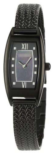 Watch Battery TE4055