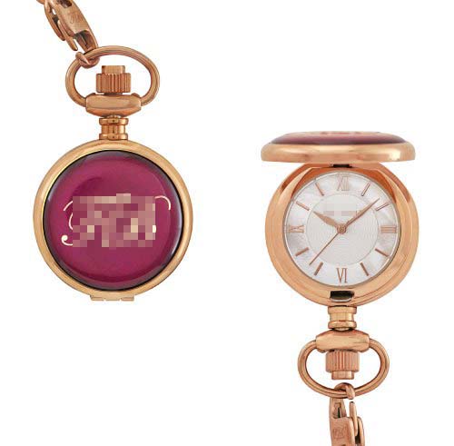Wholesale Stainless Steel Women TE4065 Watch